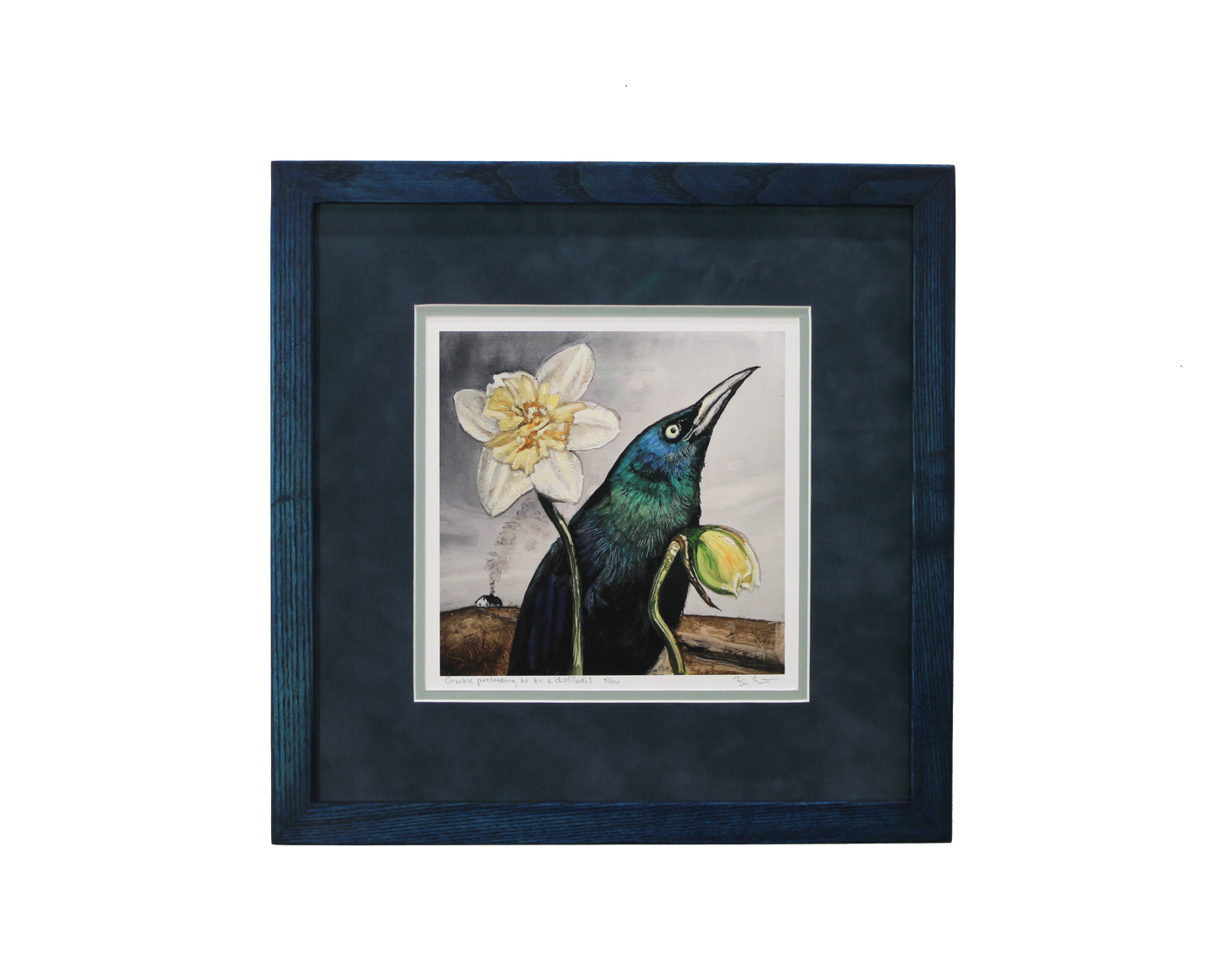 Grackle Pretending to Be a Daffodil