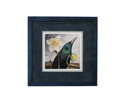 Grackle Pretending to Be a Daffodil