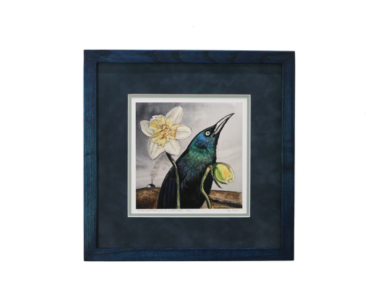 Grackle Pretending to Be a Daffodil