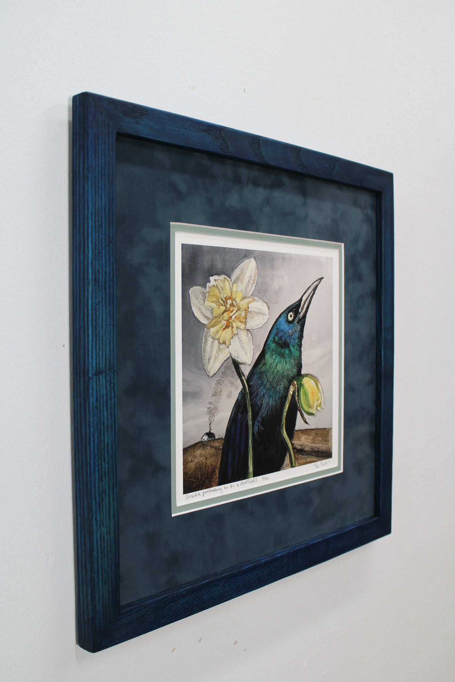 Grackle Pretending to Be a Daffodil