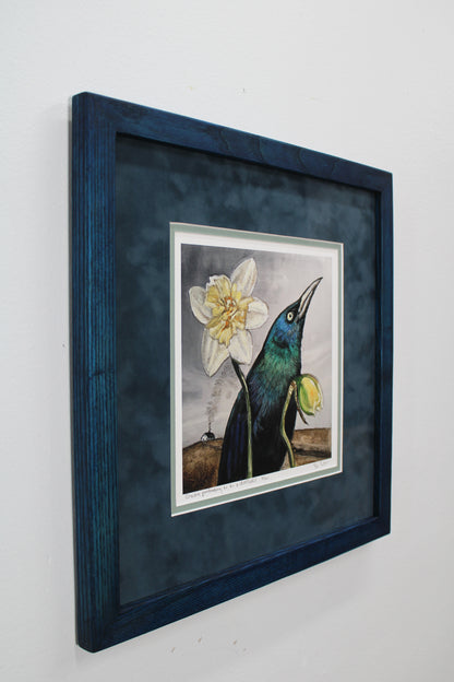 Grackle Pretending to Be a Daffodil